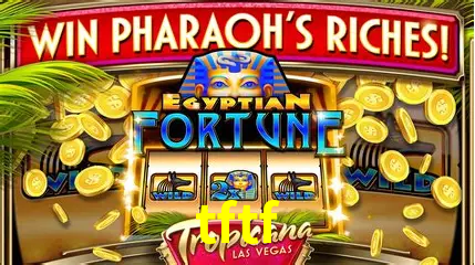 Cassino ao vivo com dealers reais na tftf
